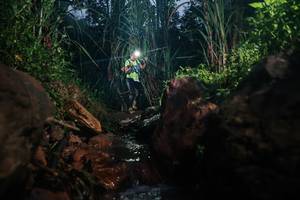 BIB: 
                            <button type="button" onclick="openModal(26417826)" class="btn btn-primary btn-sm float-right btn-popup" data-toggle="modal" data-target=".modal-high-quality">
                        <i class="fas fa-shopping-cart"></i> Add to Cart
                    </button>
                                            <button type="button" onclick="isThisMe(26417826, true)" class="btn btn-success btn-sm float-right btn-popup btn-isme hidden" data-toggle="tooltip" data-placement="bottom" title="นี่คือรูปของคุณใช่ไหม คลิกที่นี่เพื่อเอาเข้าอัลบั้ม">
                        <i class="fas fa-plus"></i> Add to album
                    </button>
                    <button type="button" onclick="isThisMe(26417826, false)" class="btn btn-warning btn-sm float-right btn-popup btn-isnotme hidden">
                        <i class="fas fa-ban"></i> Remove from album
                    </button>